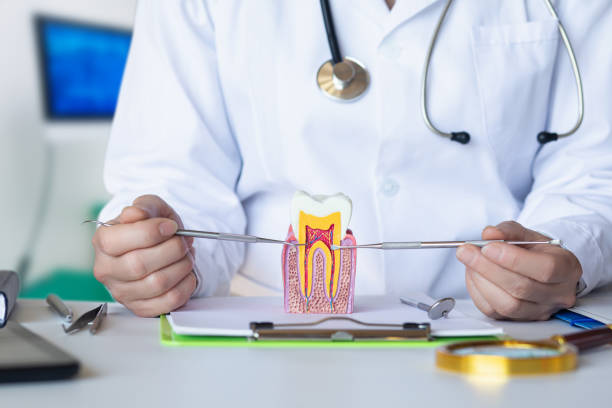 Best Pediatric Emergency Dentist in Mcgaheysville, VA